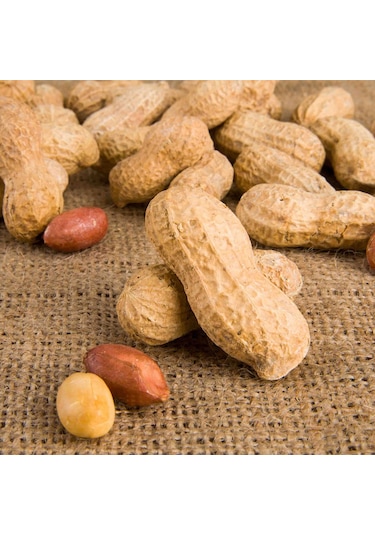 Zeki Özgür Çiğ Kabuklu Fıstık 500 G