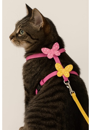 Mıt Kedi Bel Tasması Kelebekli Pembe