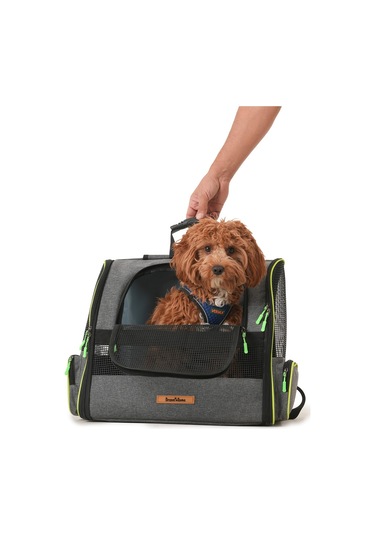 Brave Paws Kedi Ve Köpekler Için Piramit Xl Taşıma Çantası - Geniş Alan Havalandırmalı Seyahat Çantası