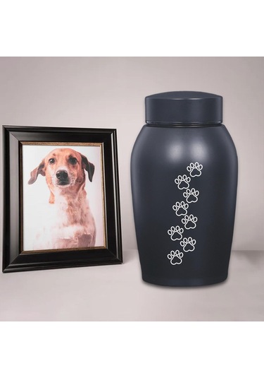 Homyl Paslanmaz Çelik Pet Urn Kremasyon 60 Lbs'ye Kadar Stil-c Altın