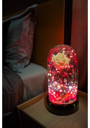 Anneler Gününe Özel Beyaz Gül Kırmızı Fanus Lamba Usb'li Yapay Çiçek Dekoratif Aydınlatma Hediyelik