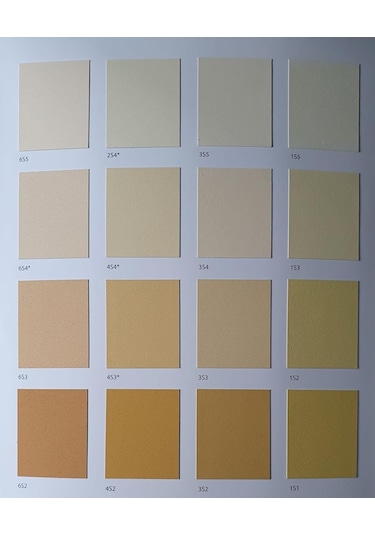 Fawori Silikonlu Dış Cephe Boyası 2,5 Lt