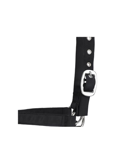 Homyl Bull Bridle Head Harness Supply Naylon İnek Yular M Siyah