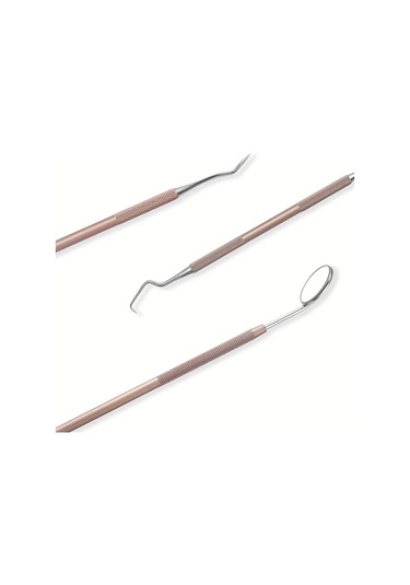 Willowhaven Şampanya 3lü Diş Temizleme Seti - Diş Arası Fırçası Dil Temizleyici Ve Masaj Aleti