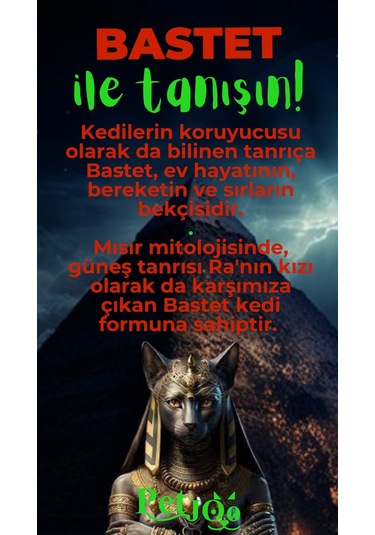 Petjoo 1.Bastet Yeşil-Kırmızı Qr'lı Kedi Künyesi