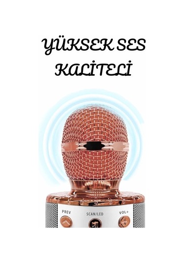 Şarjlı Ve Uzun Pil Ömürlü Karaoke Mikrofon Usb Bellek Destekli, Profesyonel Ses