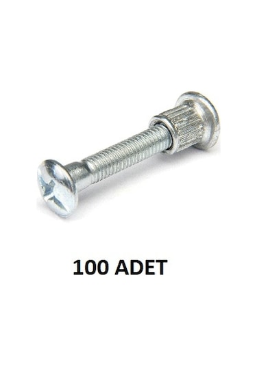 6x15 Mm 'montebent Vidası 100 Adet