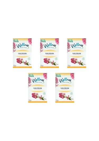 Wellnax Dolap ve Çekmece Kokusu Valerian Çiçeği Kesesi 5 x 21 G