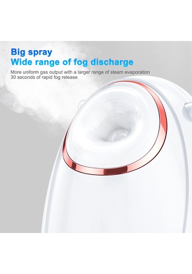 Ruicoo Evde Kullanan Nanoteknoloji Isı Buhar Yüz Aletleri - 45 C Hızlı Isınma, 30 Saniye Buhar, 180ml Depolama, Nemlendirici Cilt Bakımı Avrupa Standartı Beyaz