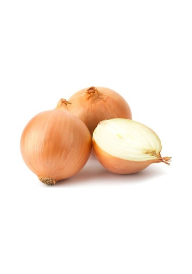 Kuru Soğan Tohumu 10 GR