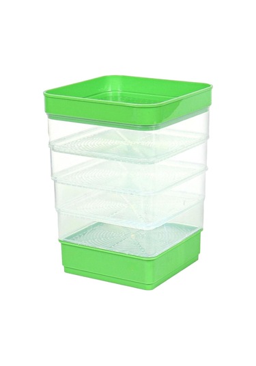 Homyl Tohum Filizleme Kitleri Brokoli Yonca Tohumları Buğday