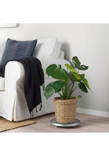 Rattan Saksı, Deniz Sazı, 19 Cm 3 Adet