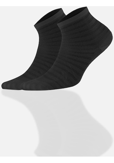 Aytuğ Kadın Modal 5 Çift Özel Kutulu Kısa Konç 33009 Çok Renkli