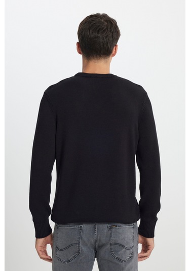 Regular Fit Normal Kesim Bisiklet Yaka Siyah Triko L242474001 Siyah