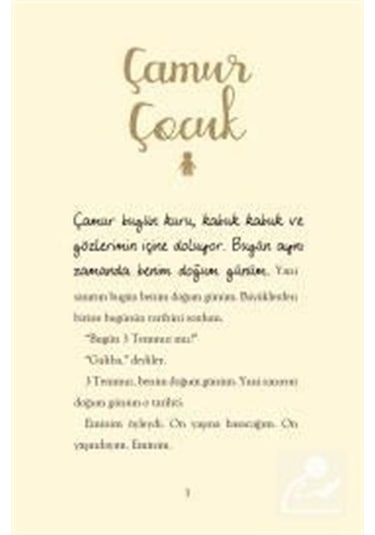 Mercankitap- Çamur Çocuk / Steve Tasane