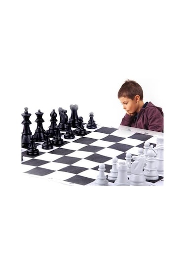 Okul Rulo Müfredat Eğitici Satranç Takımı Asorti