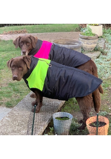 Büyük Köpek Giysileri Kış Sıcak Evcil Hayvan Yeleği Ceket Su Geçirmez Köpek Sonbahar Kış Ceket Giysileri Orta Büyük Palto 56624723