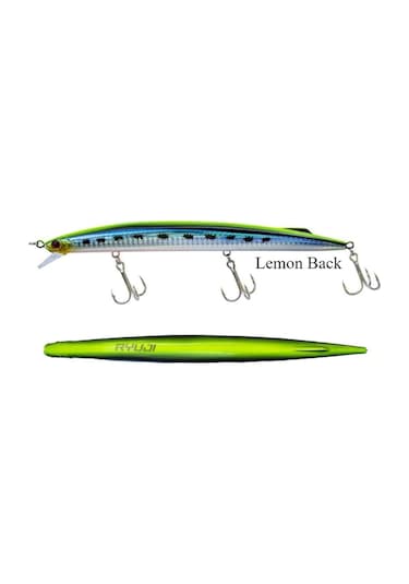 Ryuji Master Jerk Sinking 19Cm 36G Suni Yem