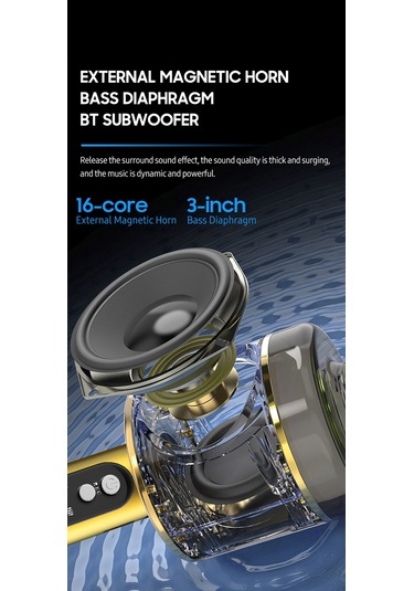 Ruicoo Kablosuz Şarkı Mikrofonu - Bluetooth Hoparlörlü Profesyonel K8 Modeli Altın