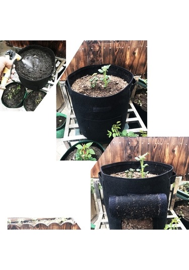 Patates, Havuç, Domates Yetiştirme Torbası - Pratik Bahçe Çantası, Nefes Alır