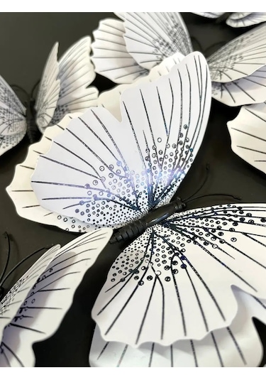 Damani 3byarılgıç Duvar Dekoru İçin Duvar Çıkartmaları 152180743 Siyah