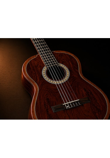 Torres Cg80 Masif Klasik Gitar 4/4 Profesyonel Gül Ağacı Konser Gitarı - 8697001481613