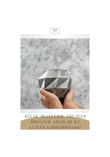 Çiçek Saksısı Dekoratif Kaktüs Saksı 1 Adet Dönen Poly Model - Gümüş Eskitme