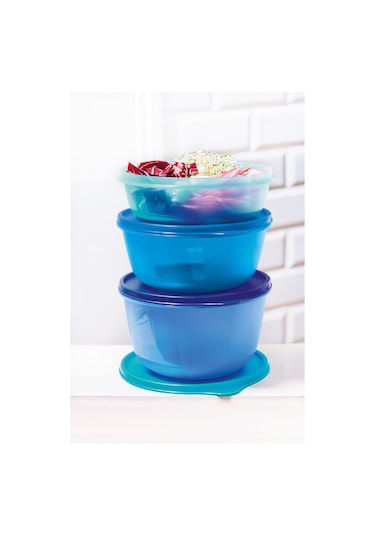 Tupperware Saklama ve Servis Kabı 3'lü Set