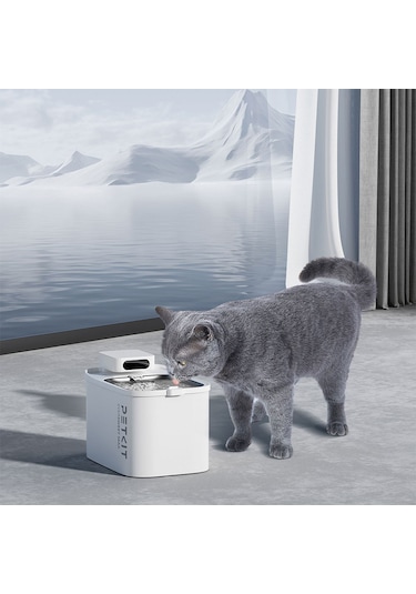 Petkit Eversweet Max Su Pınarı Resmi Distribütör Garantili