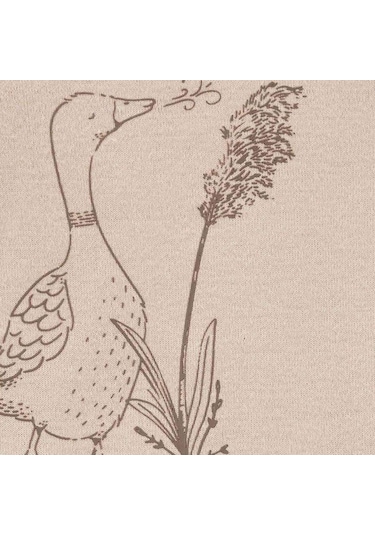 Carter's Layette Bebek 5'li Body Set 1p559710 Krem