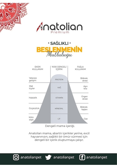 Anatolian Premium Tavuklu Yetişkin Kedi Maması 2 x 2 KG