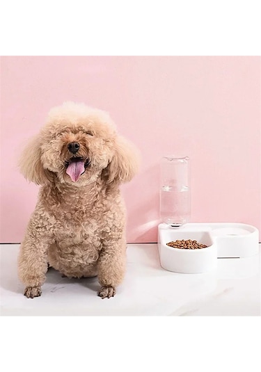 Jıalan Besleme Kedi Malzemeleri Yiyecek Kasesi Otomatik Su