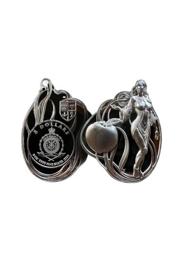 AgaKulche Özgürlük 2024 Gümüş Sikke Coin