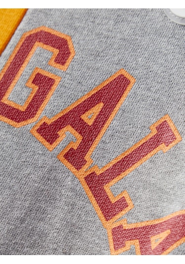 Gsstore Galatasaray Çocuk Hoodie C252085 Grimelanj