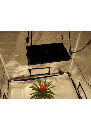 Cannalight 120w Quantum Board Bitki Yetiştirme Lambası