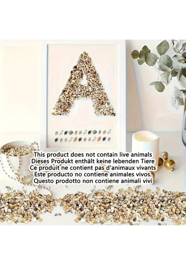 Willowhaven 500g Renkli Mini Kabuk Kum Karışımı Dıy El Sanatları Akvaryum Dekorasyon