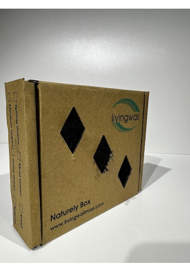 Reindermoss Şoklanmış Norveç Yosunu Terarium Yosunu Siyah 100 Gr.