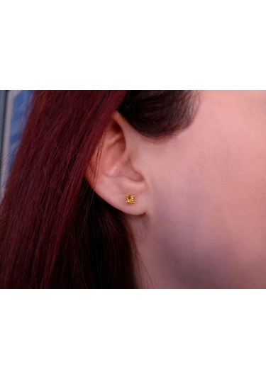 Sirius Sitrin Tektaş Küpe 0823E0050