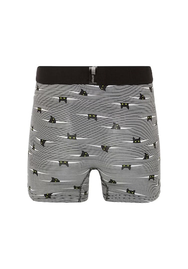 Farm Animals Yellow Eyed Hide N Cat Desenli Boxer gri