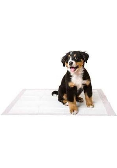 Mydog Eko Çiş Pedi 60 x 90 CM 30'lu