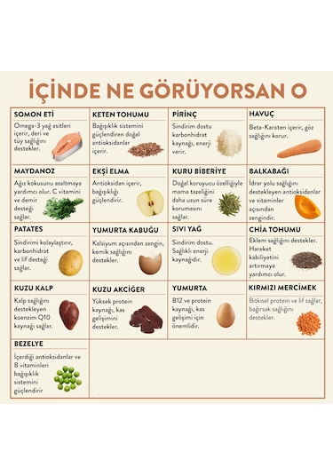 Kito Fresh Somon Etli Taze Yetişkin Köpek Yemeği 250 G