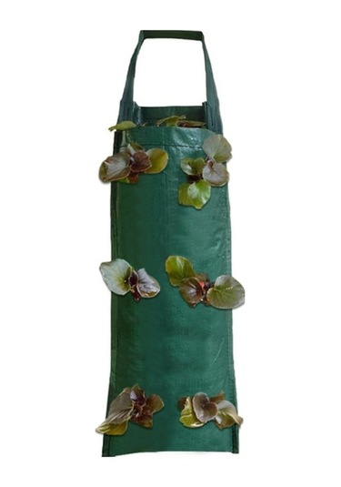 Rogfer Bitki Çilek Patates Asma Dikim Tencereleri İçin Çok Portlu Çantalar Büyüme, Boyut: 6 Port, Boyut:6 Liman