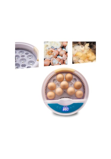 Xianwen Geeksen Dijital Yumurta Kuluçka Makinesi Otomatik