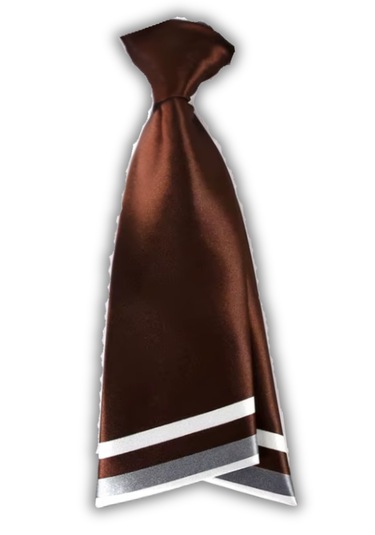 Waves And Pebbles Kahverengi Kadın Kravat Kahverengi