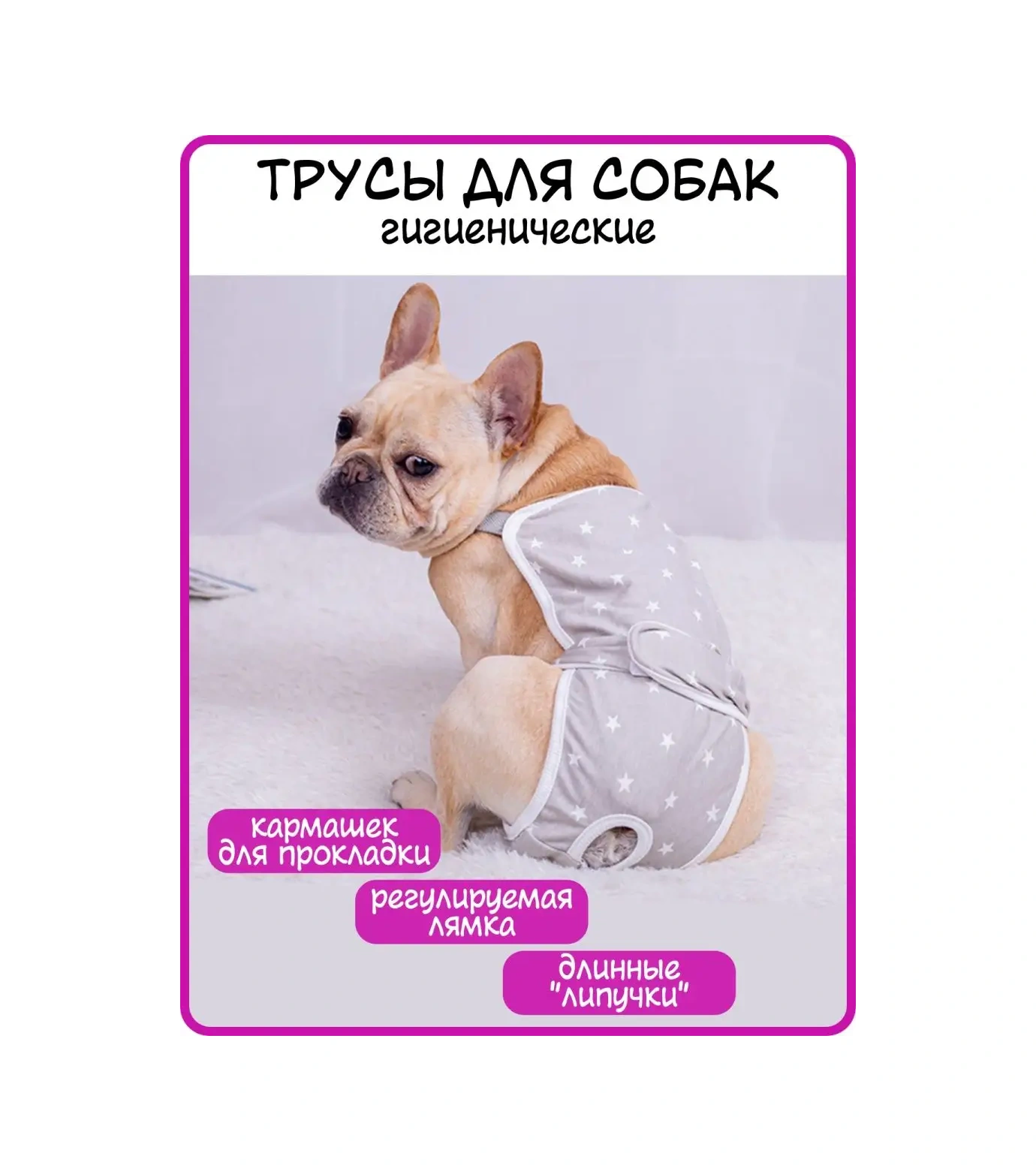 Best Golden Monkey Köpekler İçin Külot 95581722