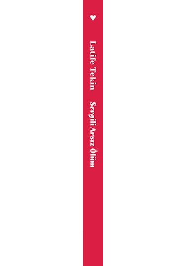 Sevgili Arsız Ölüm - Latife Tekin - Can Yayınları