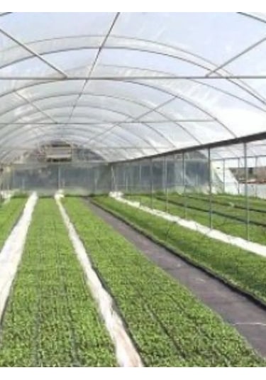 160 Micron Naylon Örtü, Şeffaf Su Geçirmez Naylon, 4x12 Metre