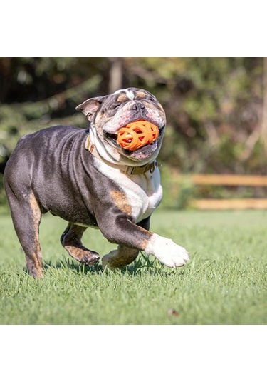 Chuckit Air Fetch Football Köpek Oyun Topu 14 Cm 260-50010.01