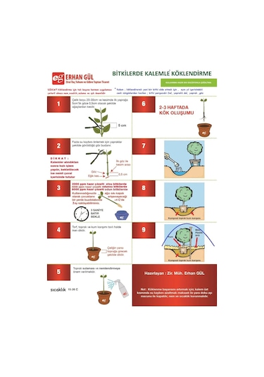 Ağaç Fidan Köklendirme Hormonu 4000 Ppm 100ML Kalem Batır Dik
