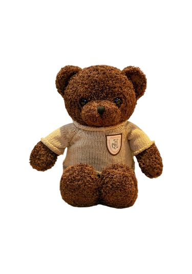 Turki Teddy Ayı Plush Toy Renkli Pillow 30cm Kahverengi Kazak